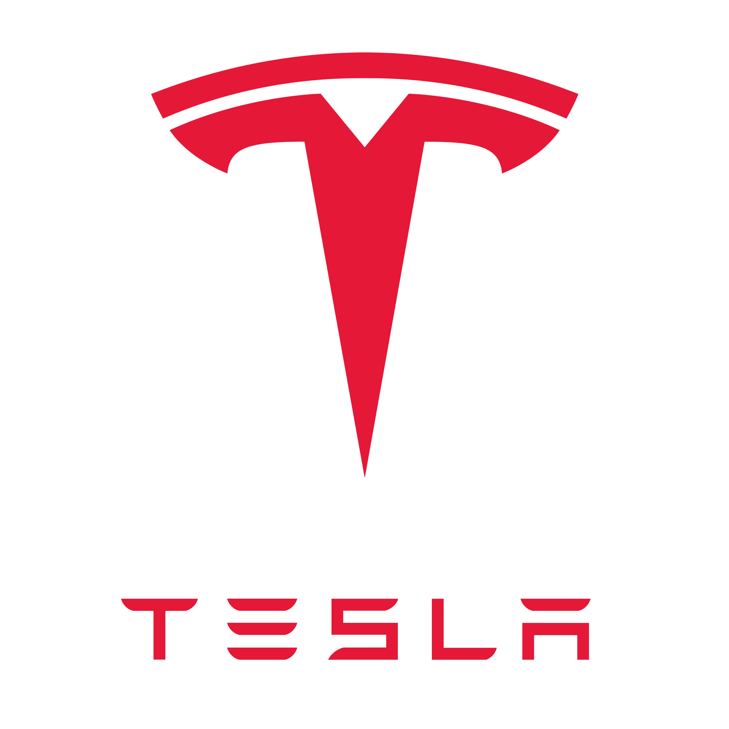 Tesla Motors & Energy Solutions Logo